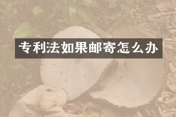 专利法如果邮寄怎么办