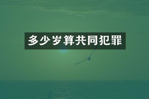 算共同犯罪