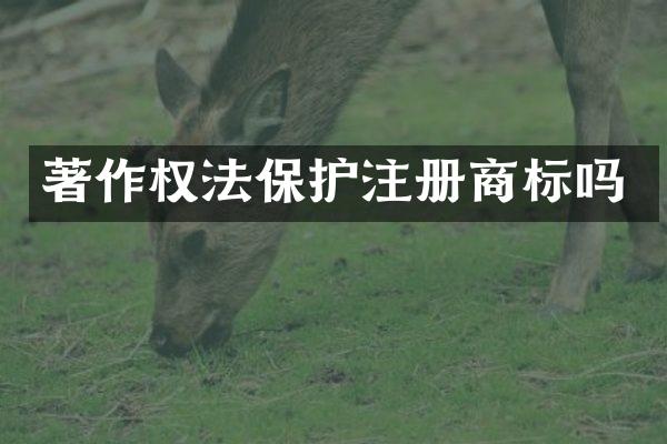 著作权法保护注册商标吗