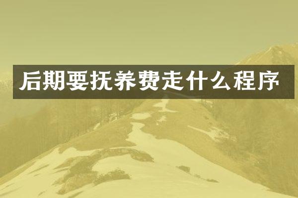 后期要抚养费走什么程序