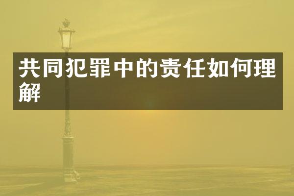 共同犯罪中的责任如何理解