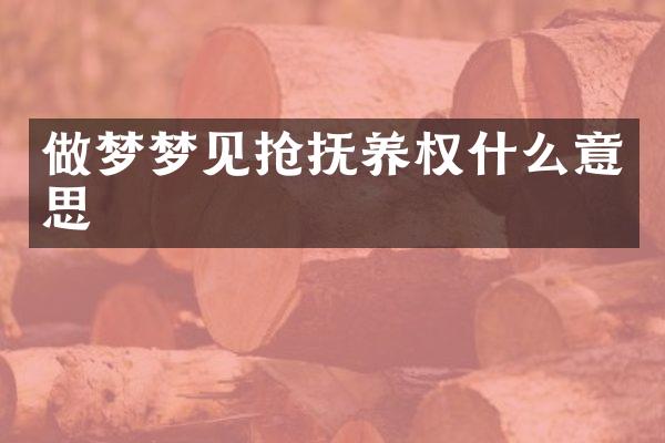 做梦梦见抢抚养权什么意思