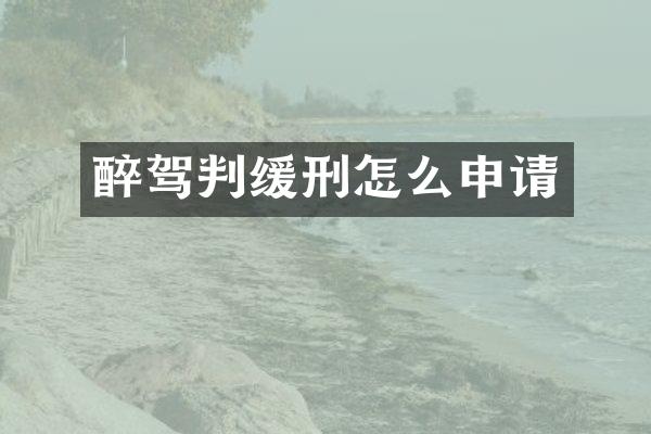 醉驾判缓刑怎么申请