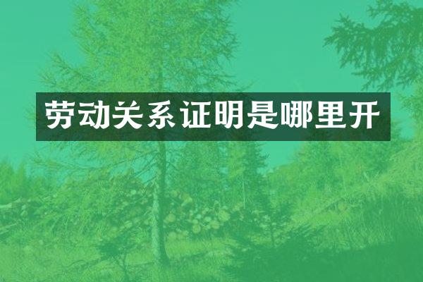 劳动关系证明是哪里开