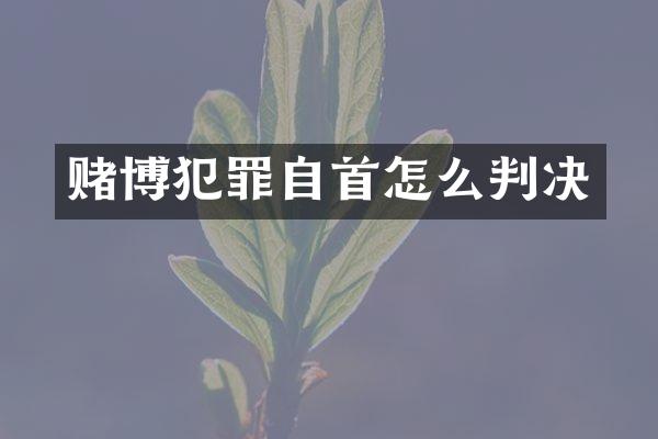 犯罪自首怎么判决
