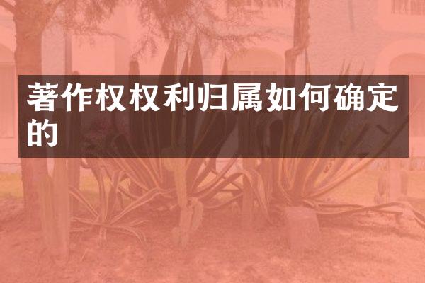 著作权权利归属如何确定的