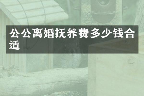 公公离婚抚养费多少钱合适