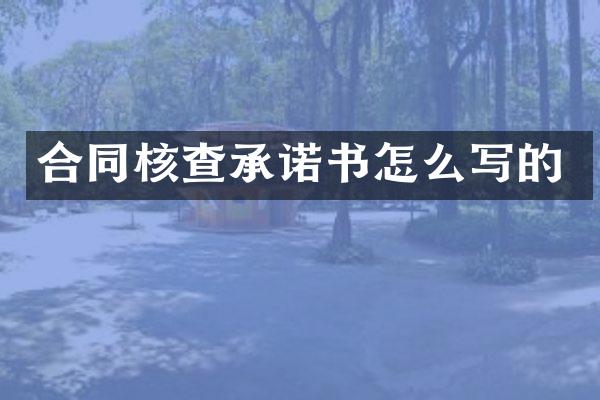 合同核查承诺书怎么写的