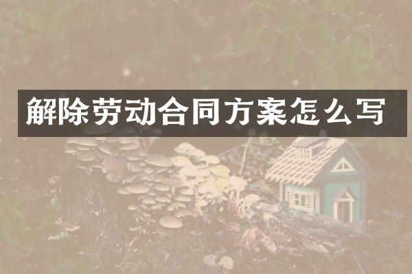 解除劳动合同方案怎么写