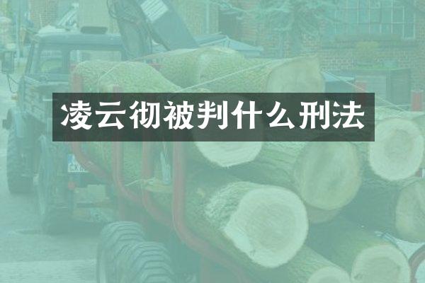 凌云彻被判什么刑法