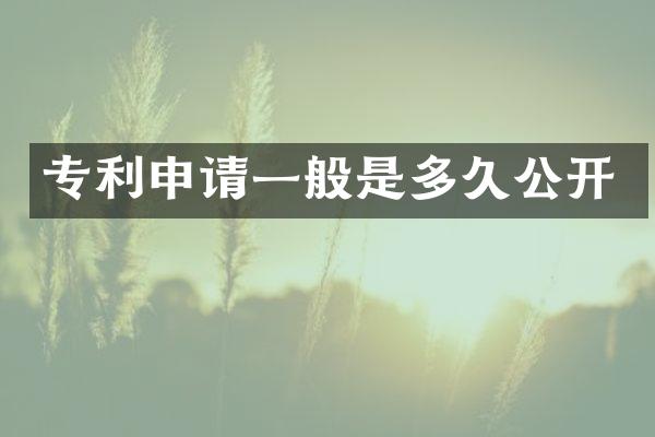 专利申请一般是多久公开