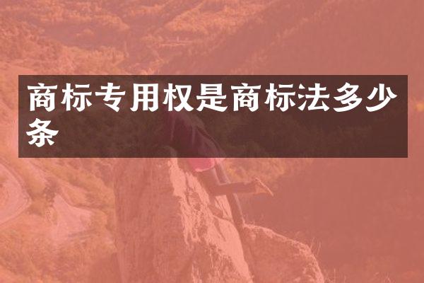 商标专用权是商标法多少条