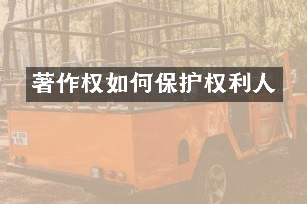 著作权如何保护权利人