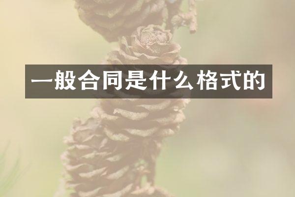一般合同是什么格式的