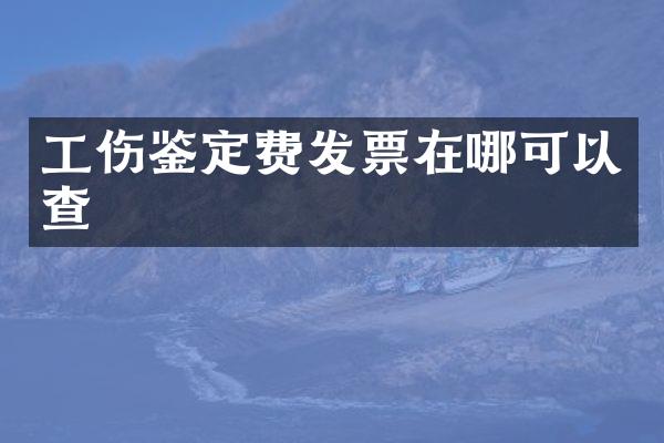 工伤鉴定费发票在哪可以查