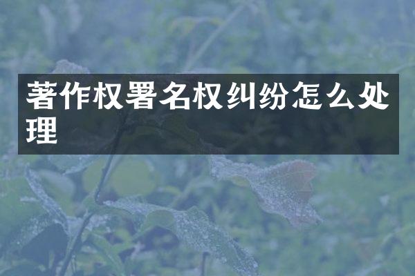 著作权署名权纠纷怎么处理