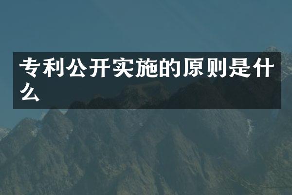 专利公开实施的原则是什么