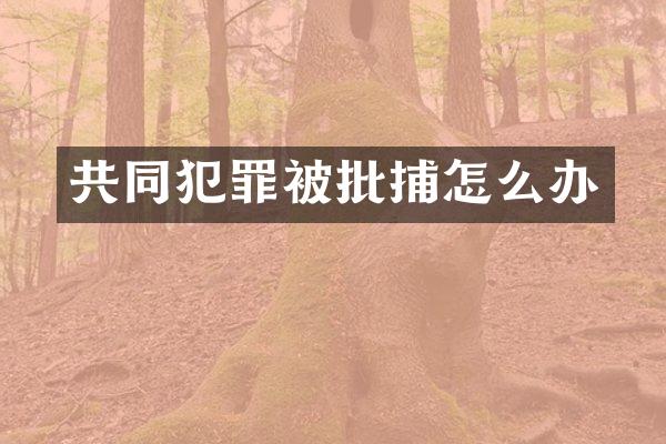共同犯罪被批捕怎么办