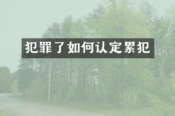 犯罪了如何认定