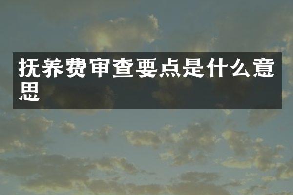 抚养费审查要点是什么意思