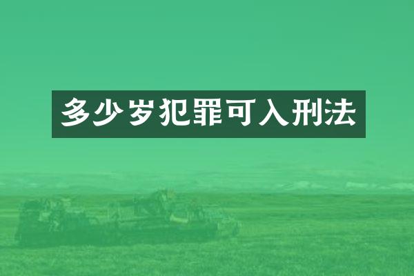 犯罪可入刑法