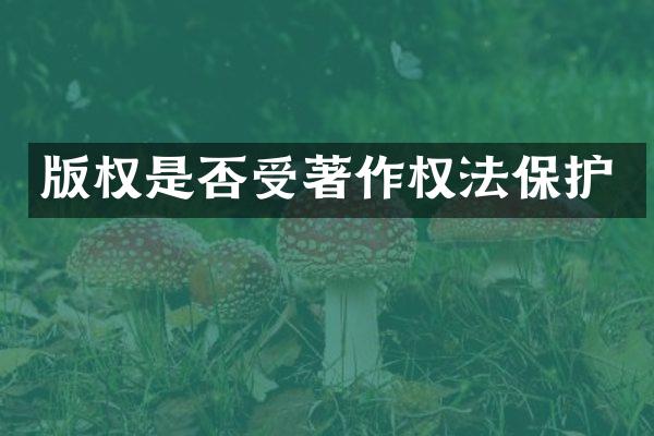 版权是否受著作权法保护