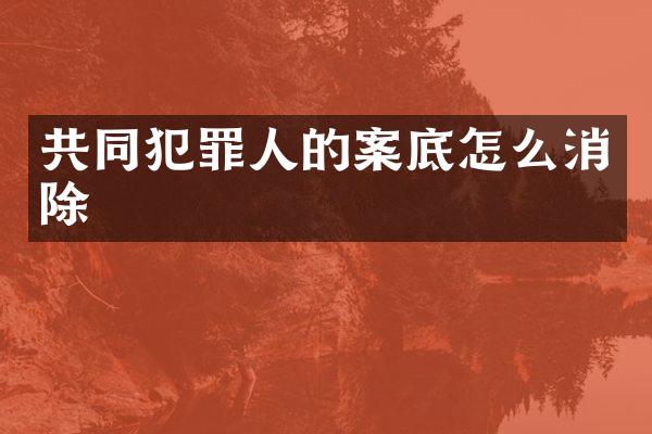 共同犯罪人的案底怎么消除