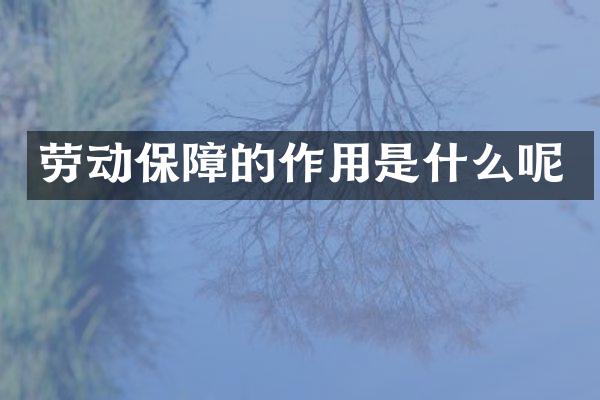 劳动保障的作用是什么呢