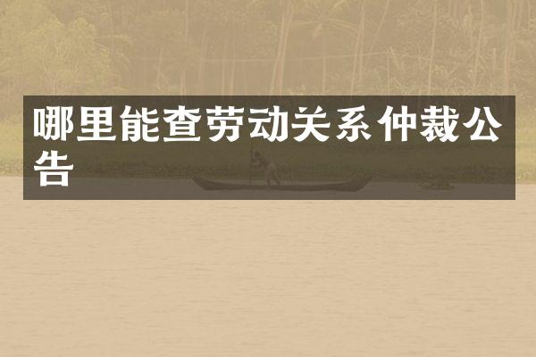 哪里能查劳动关系仲裁公告