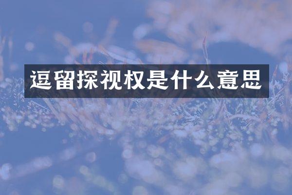 逗留探视权是什么意思
