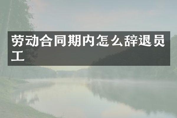 劳动合同期内怎么辞退员工