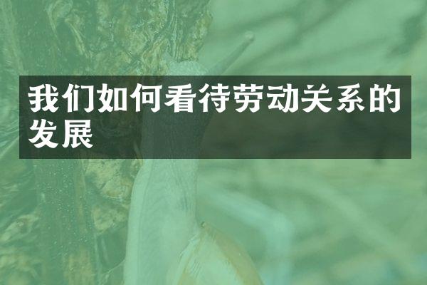 我们如何看待劳动关系的发展