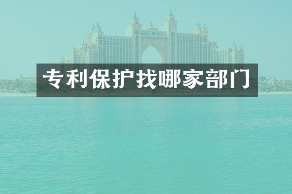 专利保护找哪家部门