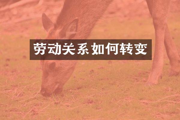 劳动关系如何转变
