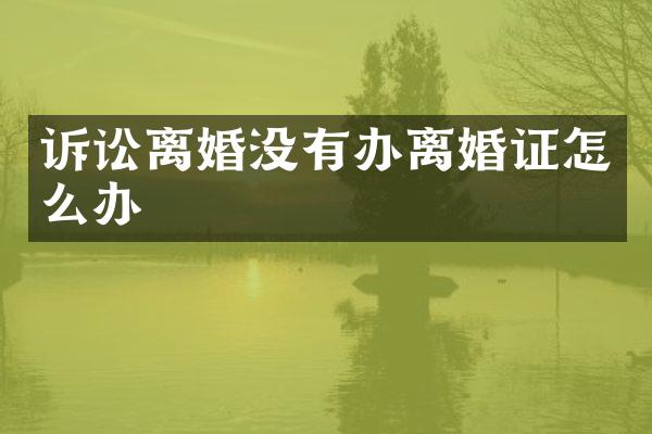 诉讼离婚没有办怎么办