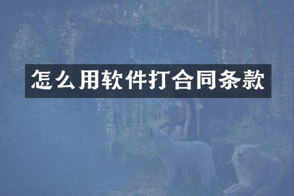 怎么用软件打合同条款
