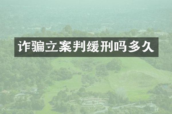 诈骗立案判缓刑吗多久