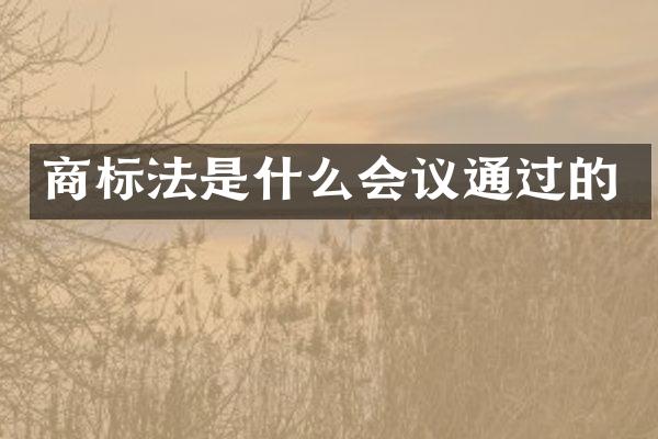 商标法是什么会议通过的