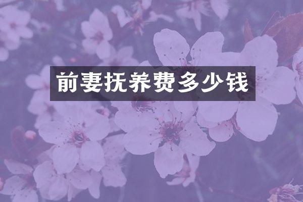 前妻抚养费多少钱