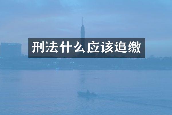 刑法什么应该追缴