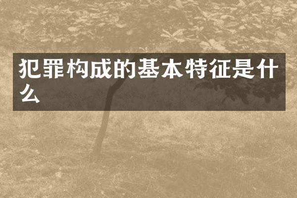 犯罪构成的基本特征是什么