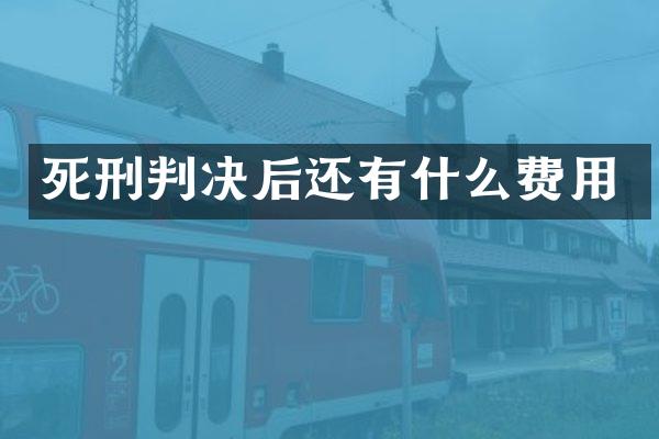 死刑判决后还有什么费用