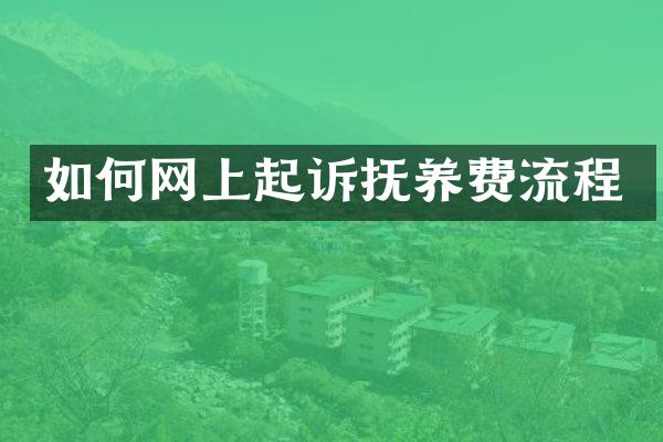 如何网上起诉抚养费流程