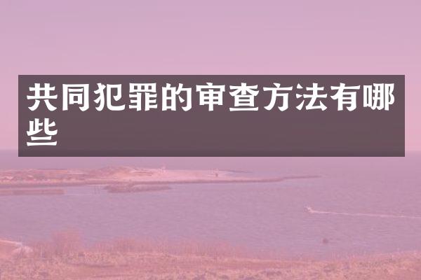 共同犯罪的审查方法有哪些