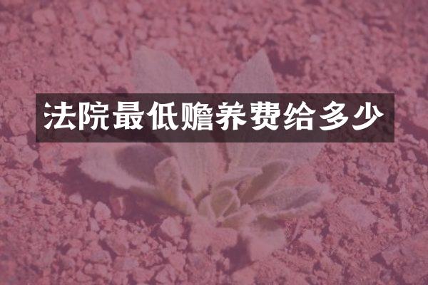法院最低赡养费给多少