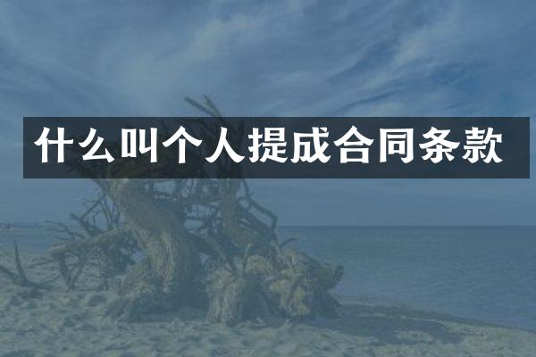 什么叫个人合同条款