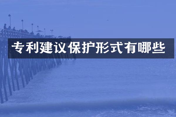 专利建议保护形式有哪些