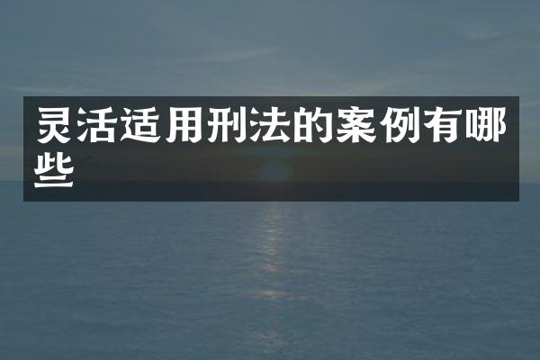 灵活适用刑法的案例有哪些