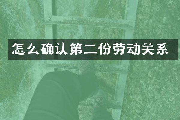 怎么确认第二份劳动关系
