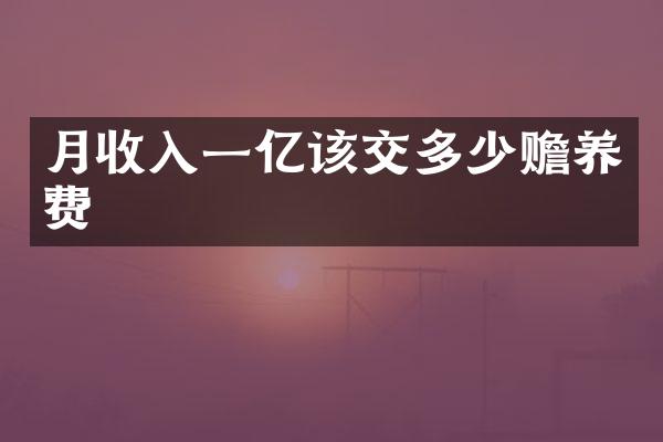 月收入一亿该交多少赡养费